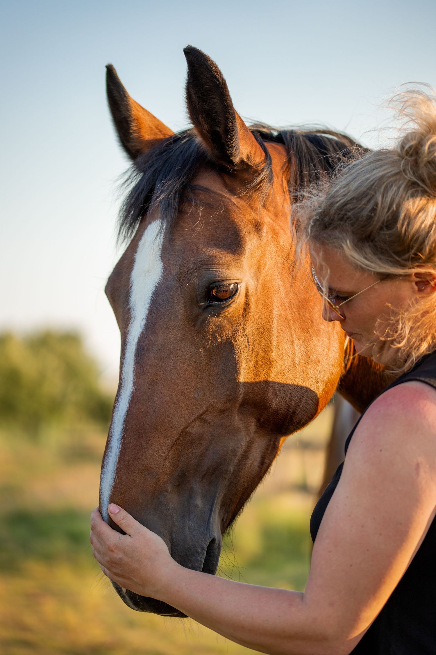 een close up van een paarden hoofd en mens