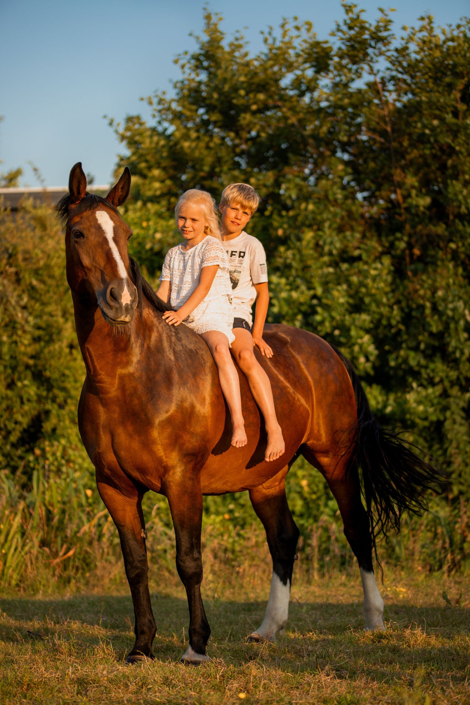 bruin paard met 2 kinderen erop een jongen en een meisje